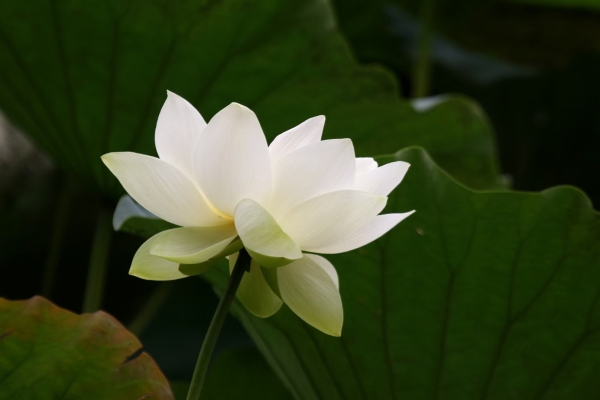 1693898568051051997.jpg 1693898568051051997.jpg