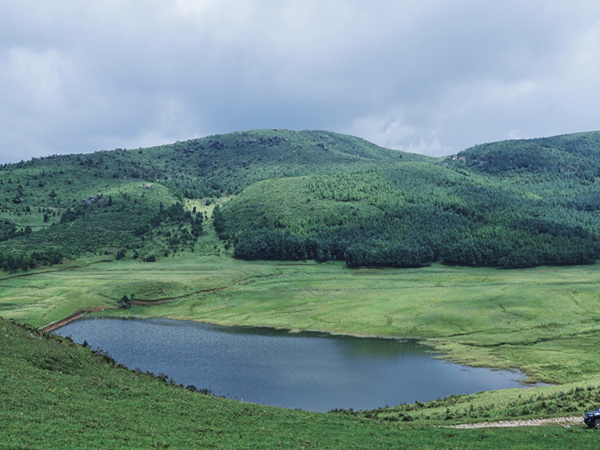 1694745206364008293.jpg 1_副本.jpg