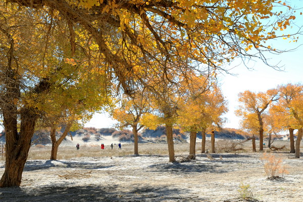 06.jpg