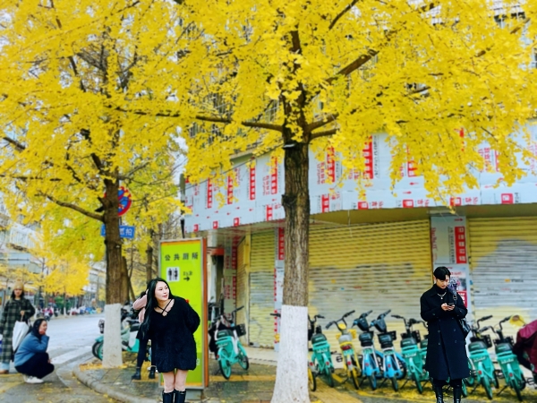 9._副本.jpg