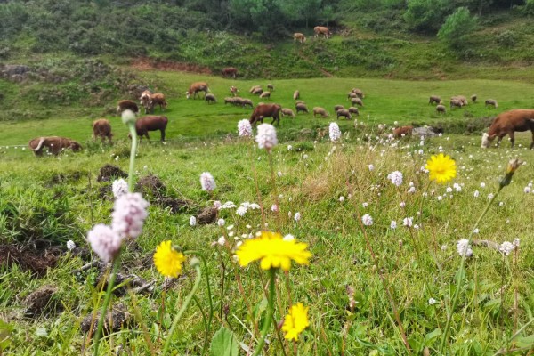 1698223741570069625.jpg 10.jpg