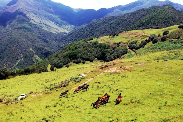 1698223753850044860.jpg 7.jpg