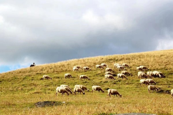 1698223768341007410.jpg 6.jpg