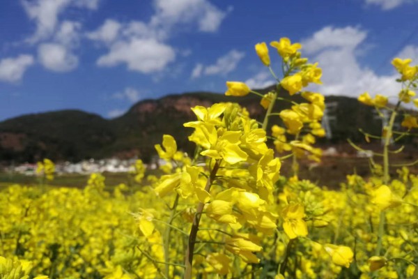 1698223780559064684.jpg 4.jpg