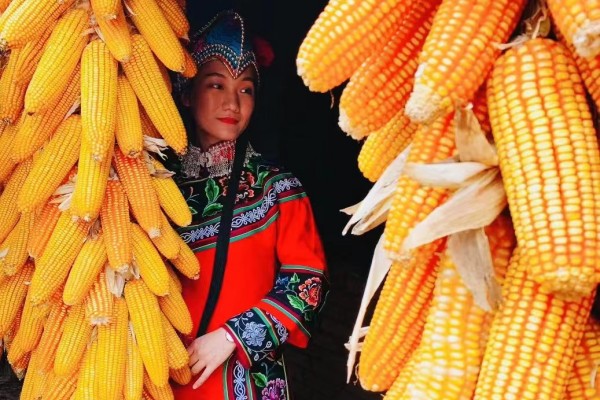 1698223791368045838.jpg 2.jpg