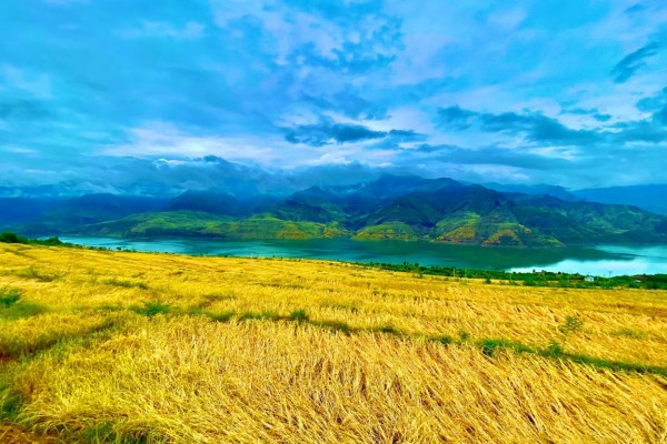 1698223832401093425.jpg 8.jpg