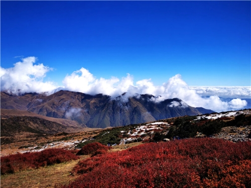 东川_副本