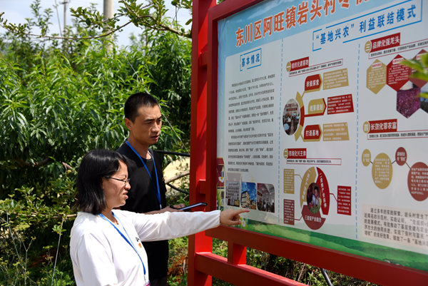 促进乡村治理提质增效1_副本.jpg