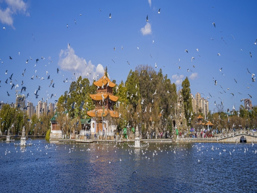 组照：昆明四季大观楼7（冬）拍摄时间 2022.1 拍摄地点 昆明大观公园 拷贝_副本.jpg