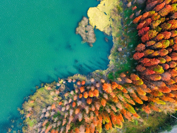 西山