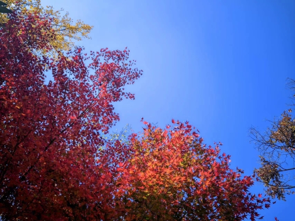 <span style='background-color:;'>17020032878</span>73077381.jpg