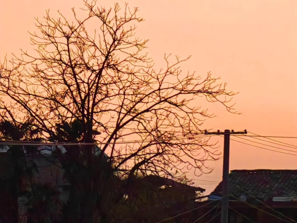 <span style='background-color:;'>17020033502</span>96030843.jpg