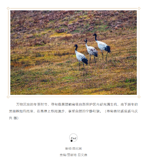 微信图片_20231225090528.png