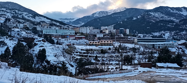 红土地岳顺德_副本.jpg