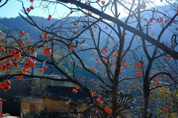 1704673809440057030.jpg 4.jpg