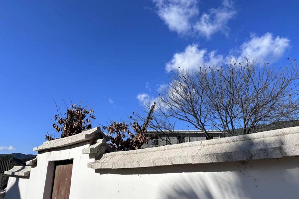 1704673832483062770.jpg 1.jpg