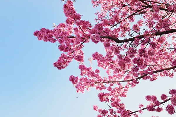 retouch_2024010811301592.jpg