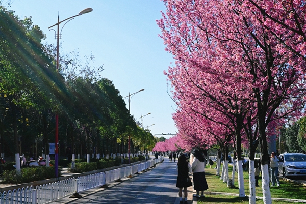 retouch_2024010811493849.jpg