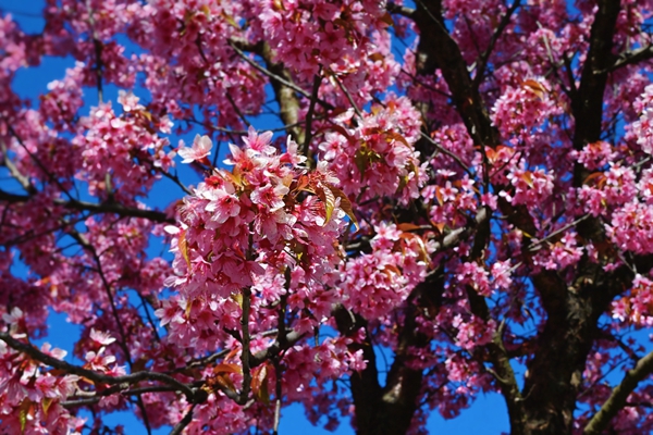 retouch_2024010722011701.jpg
