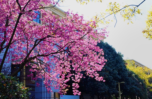 retouch_2024010811465601.jpg