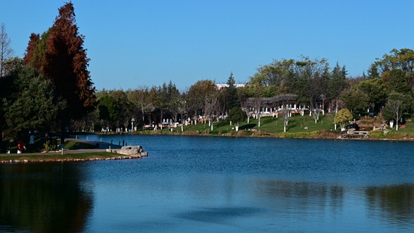 DSC_3472.jpg