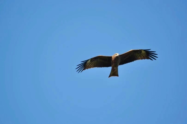 1705394501314062001.jpg 1705394501314062001.jpg