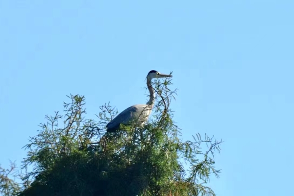 1705394529139098658.jpg 1705394529139098658.jpg