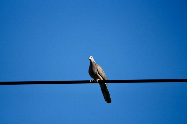 1705394616365075413.jpg 1705394616365075413.jpg