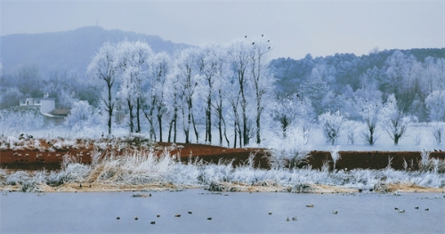 盘龙1