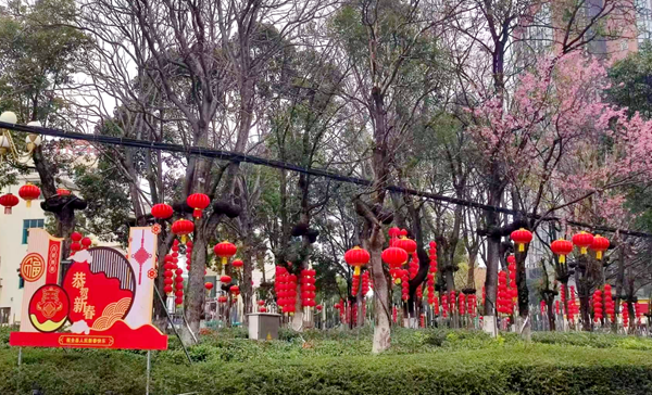 图片7_副本.png