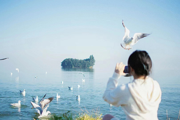 张弘渺.jpg