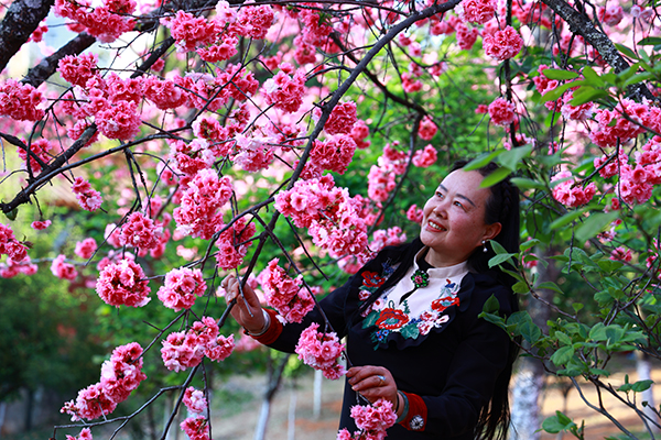 洪向东.jpg