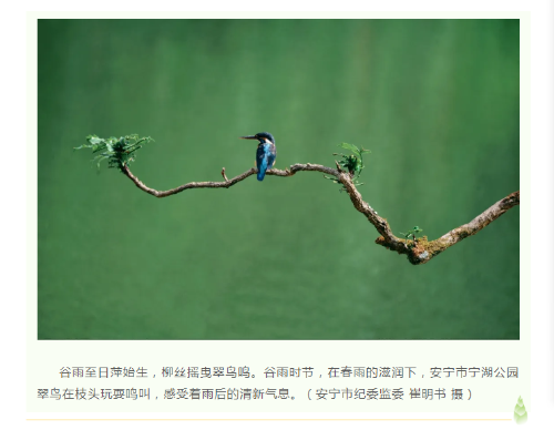 1e7894b3bfd8005a1402f15de818971.png