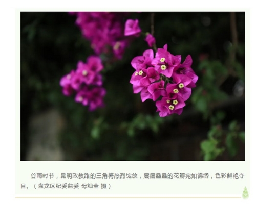 微信截图_20240428171505.jpg