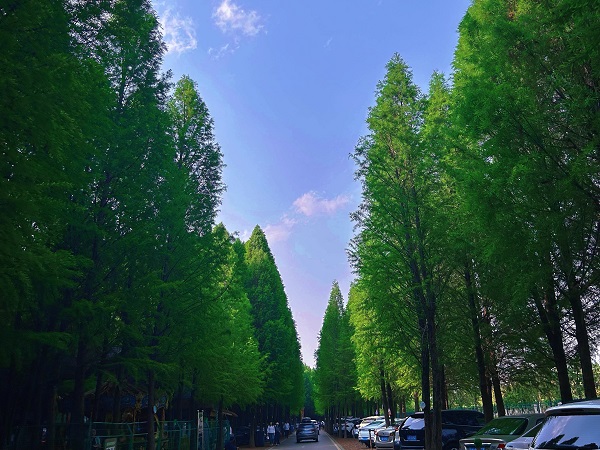 图1（李白江摄）.jpg