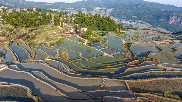 图2（李维梅摄）.jpg