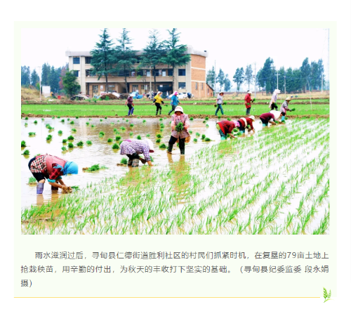 微信图片_20240521171216.png