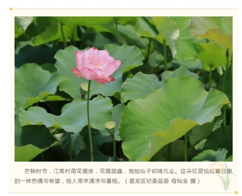 微信截图_20240606141937.jpg