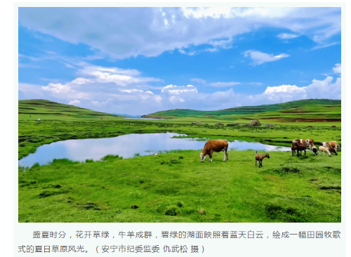 1720400729136.png
