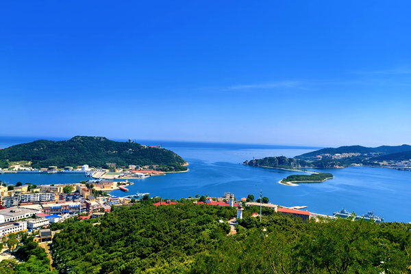 区司法局  贺金竹（大连） (3)_副本.jpg