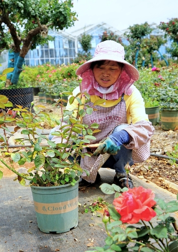 繁华呈贡06.jpg