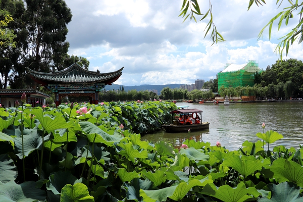 阿旺镇 陈普芹_副本.jpg