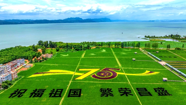 官渡1