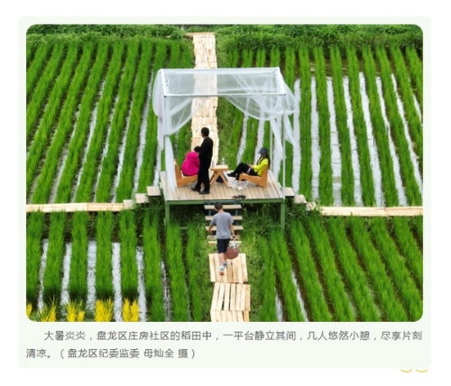 大暑2.jpg