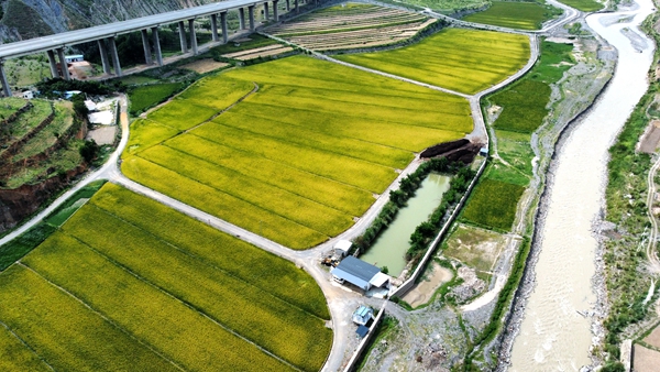 拖布卡 夏安兵_副本.jpg