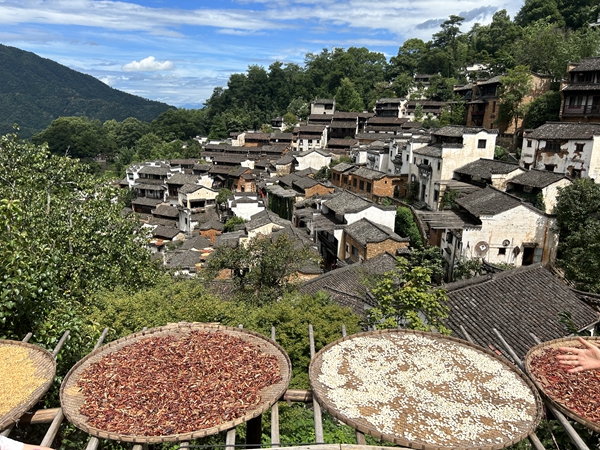 区文联投稿：侯芳云_副本.jpg