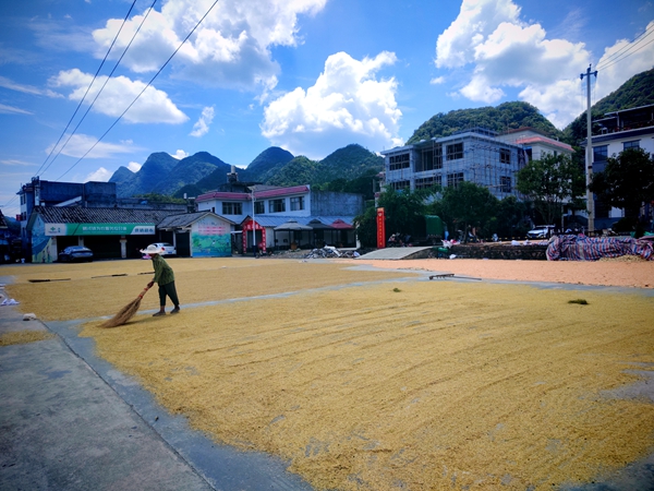 文旅局 陈文高摄1_副本.jpg