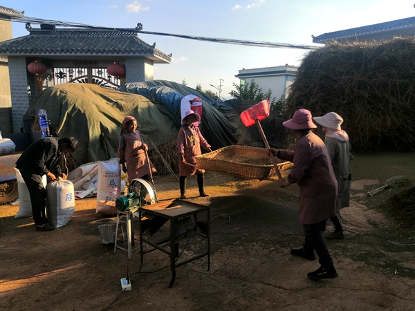 民政局 段玉春 (2)_副本.jpg