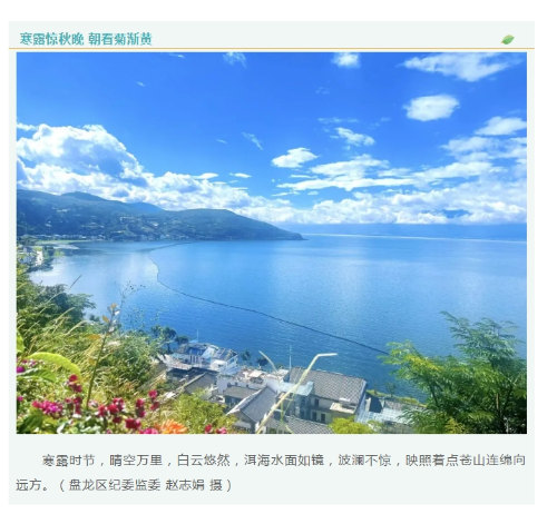 微信截图_20241009090926.png