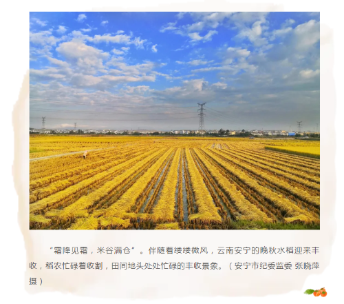 c39f5232d96d105019799f366258acb.png